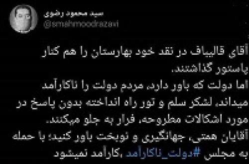  کنایه تند رضوی به دولت برای حمله به مجلس