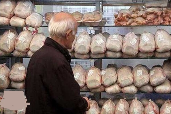 مناسب شدن شرایط قیمتی مرغ 