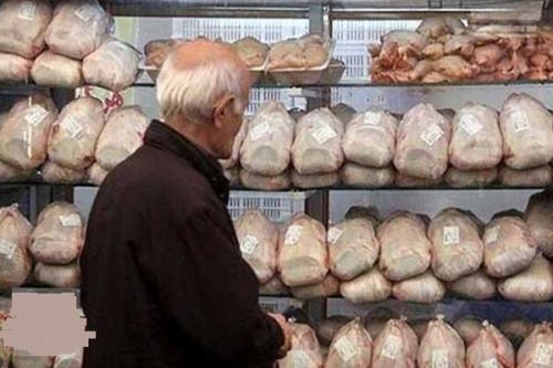 مناسب شدن شرایط قیمتی مرغ 