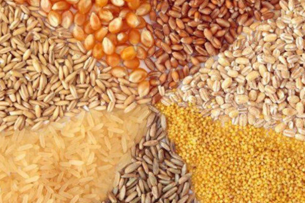  قیمت جدید خوراک دام و طیور اعلام شد