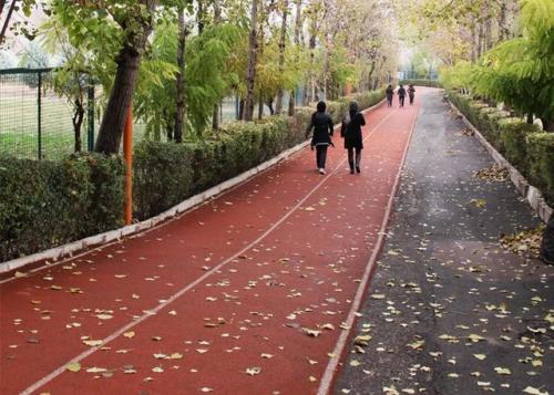 بازگشایی جاده تندرستی