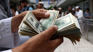 قیمت ارز چه بلایی بر سر قیمت مرغ آورد؟