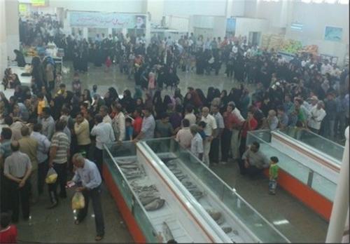  صف مرغ پایتخت جمع شد