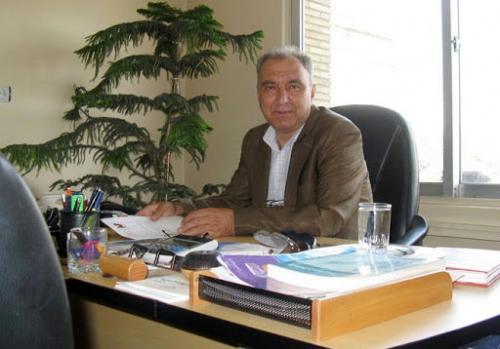 تخم مرغ بازهم عامل گرانی بازار شد