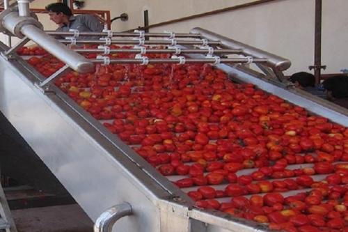 صادرات رب گوجه فرنگی تمدید شد