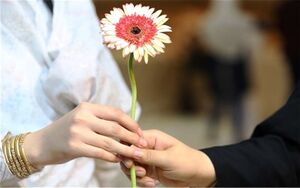  سهم ازدواج‌ دانشجویی در کشور چقدر است؟