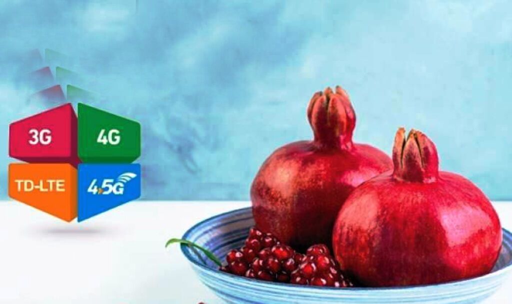  اینفوگرافی/    چجوری شب یلدای امسال را برگزار کنیم؟  