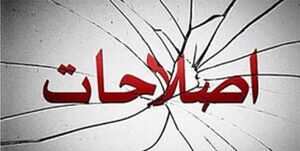  حیف که چینی‌ها اصلاح‌طلب ندارند!