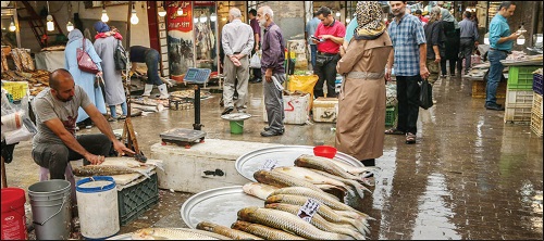  موج گرانی در بازار ماهی‌های جنوب