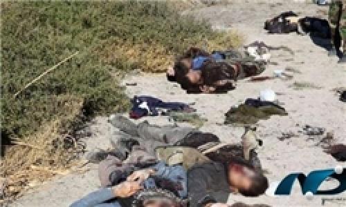 60 تکفیری داعش در شرق الرمادی کشته شدند 