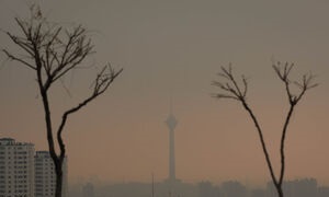  افزایش تماس با اورژانس