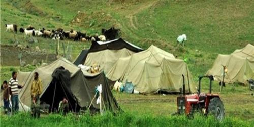 تولید گوشت عشایر به 200 هزار تن رسید