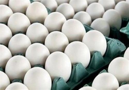  قیمت تخم مرغ کاهش یافت