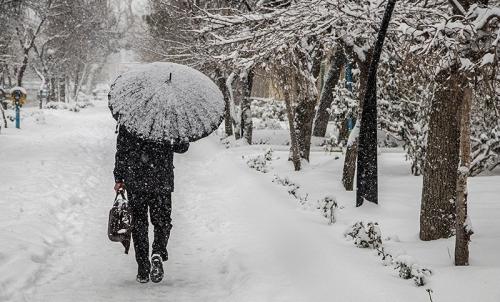  باد شدید و سرمای زیرصفر در پایتخت
