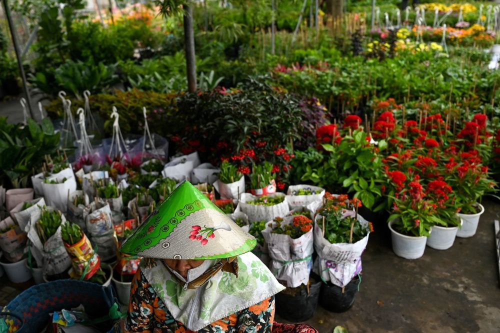 تدارکات یک سال نوی دیگر