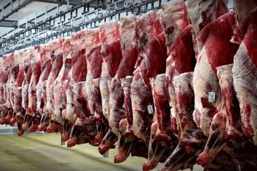 خیز دوباره گوشت قرمز به سمت گرانی/ اختلاف ۵۰‌درصدی قیمت از دامداری تا بازار