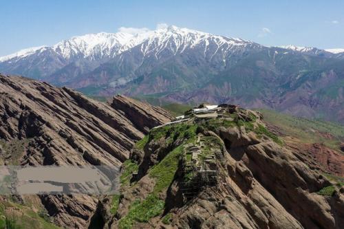نمایشگاهی پهناور از تنوع زیستی کشور