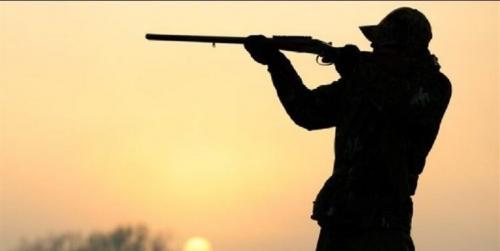 شکارچی متخلف محکوم به ساخت مستند حیات وحش شد