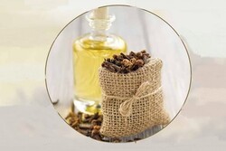 اینفوگرافیک؛فواید میخک
