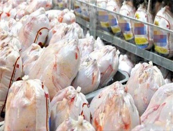 بی‌تدبیری، باز هم مرغ‌ها را پرواز داد