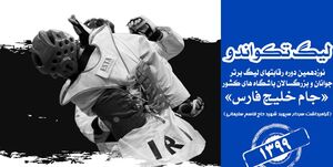 اعلام تاریخ برگزاری لیگ برتر تکواندو