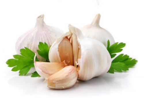 چرا نباید سیر زیاد بخوریم؟