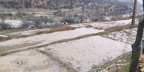  بارش شدید باران و طغیان رودخانه مارون در لوداب