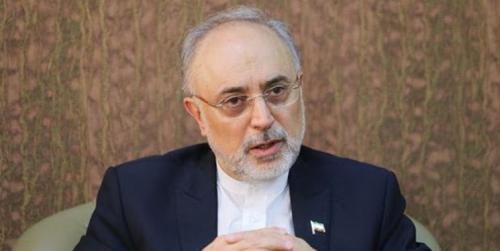 چرایی سفر گروسی به تهران