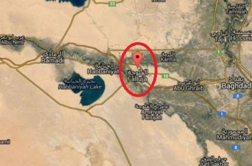 بازداشت سرکرده داعشی در فلوجه