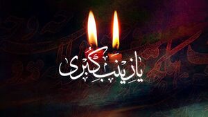 علت وفات حضرت زینب (س) چه بود؟