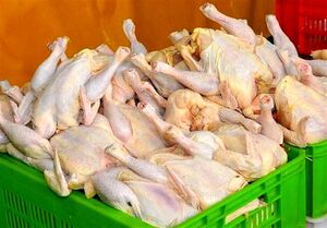  وعده چندباره وزارت جهاد برای کاهش قیمت مرغ