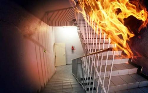 آخرین اخبار از آتش سوزی شیرخوارگاه آمنه