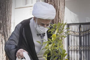 دولت در حل مشکلات کشاورزان جدی‌تر عمل کند