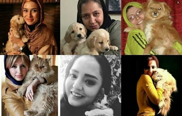 از سگ بازی تا «سگ فروشی»/ شغل جدید سلبریتی‌ها در فضای مجازی +تصاویر