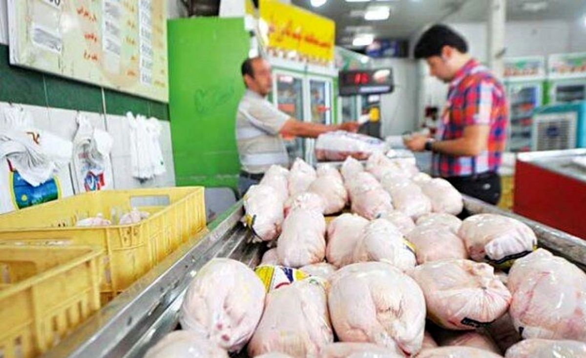  مرغ مصوب کیلویی چند؟ 