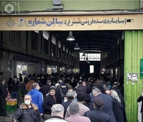 صف مرغ پشت پرده دارد؟!