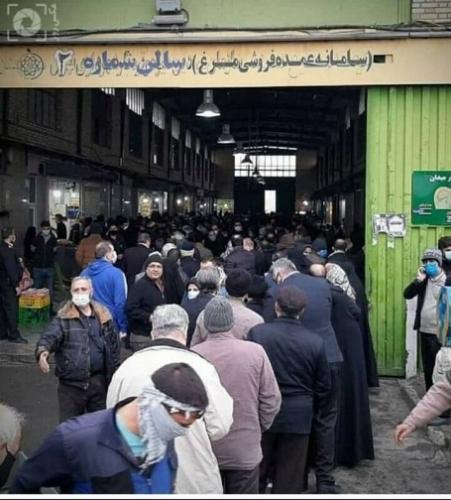  چند درصد از مسئولین در خانه مرغ ندارند؟