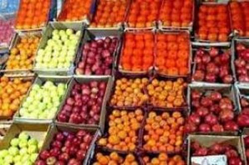 آغاز توزیع میوه شب عید از امروز +جدول 