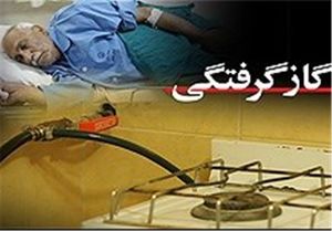  مونوکسیدکربن جان ۲۸ نفر را در نوروز گرفت
