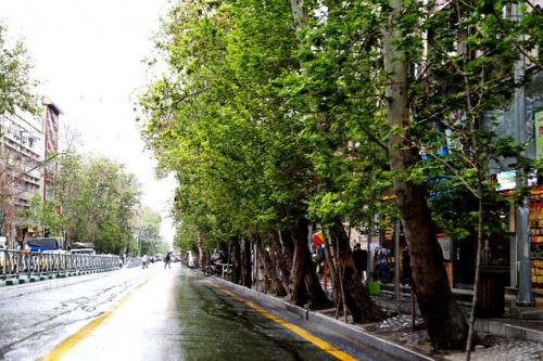  تشریح اقدامات اجرایی ثبت جهانی خیابان ولی عصر
