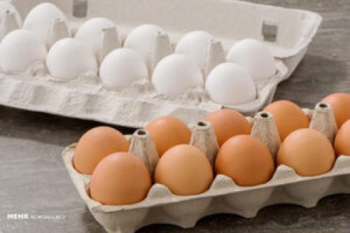  کاهش شدید قیمت تخم‌مرغ درب مرغداری