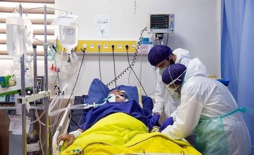 گردش ویروس انگلیسی در کشور/ تولید انبوه واکسن ایرانی تا چند ماه آینده