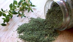  این گیاه برای درمان سرفه معجزه می‌کند