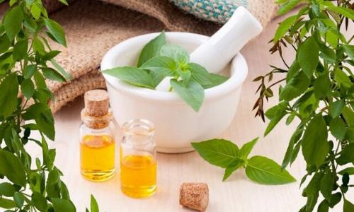  گزینه‌ای طبیعی برای دفع پشه