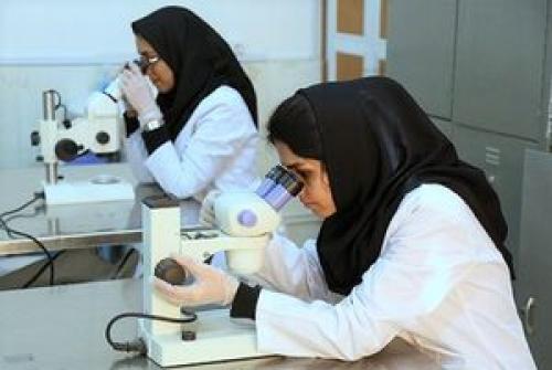   نقش بی‌بدیل آزمایشگاهیان در مقابله با ویروس کرونا