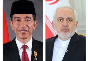  دیدار ظریف با رئیس‌جمهور اندونزی