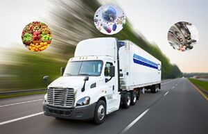  افزایش انتقال کرونا با حمل‌ونقل کالاهای منجمد
