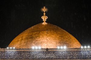 تدابیر کرونایی متولیان حرم امام علی(ع) +عکس و فیلم