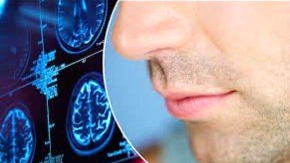  راهی موثر برای بازیابی حس بویایی پس از کرونا