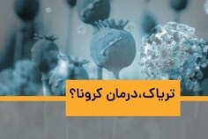 تریاک، درمان کرونا؟